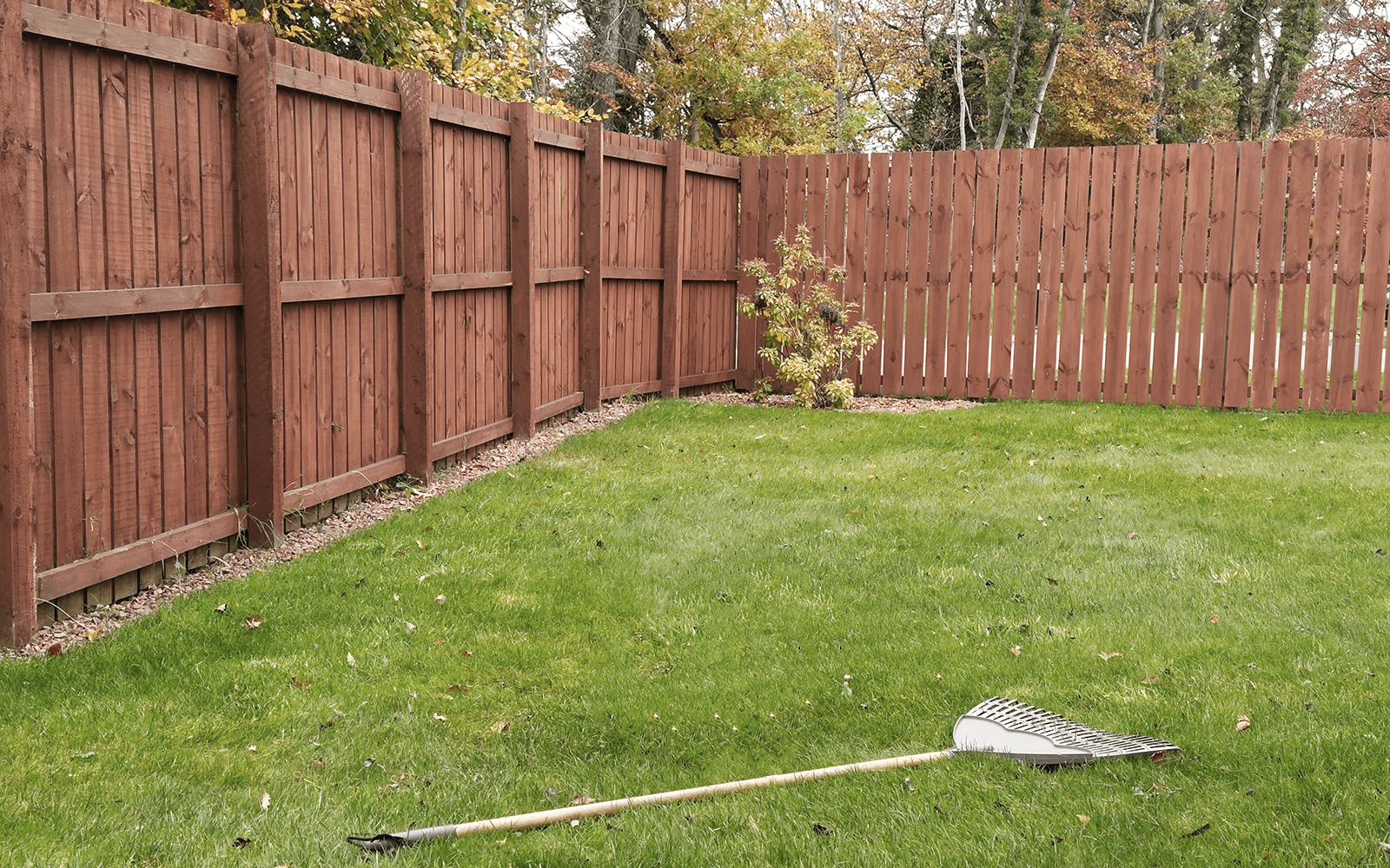 Orchard Fencing Work