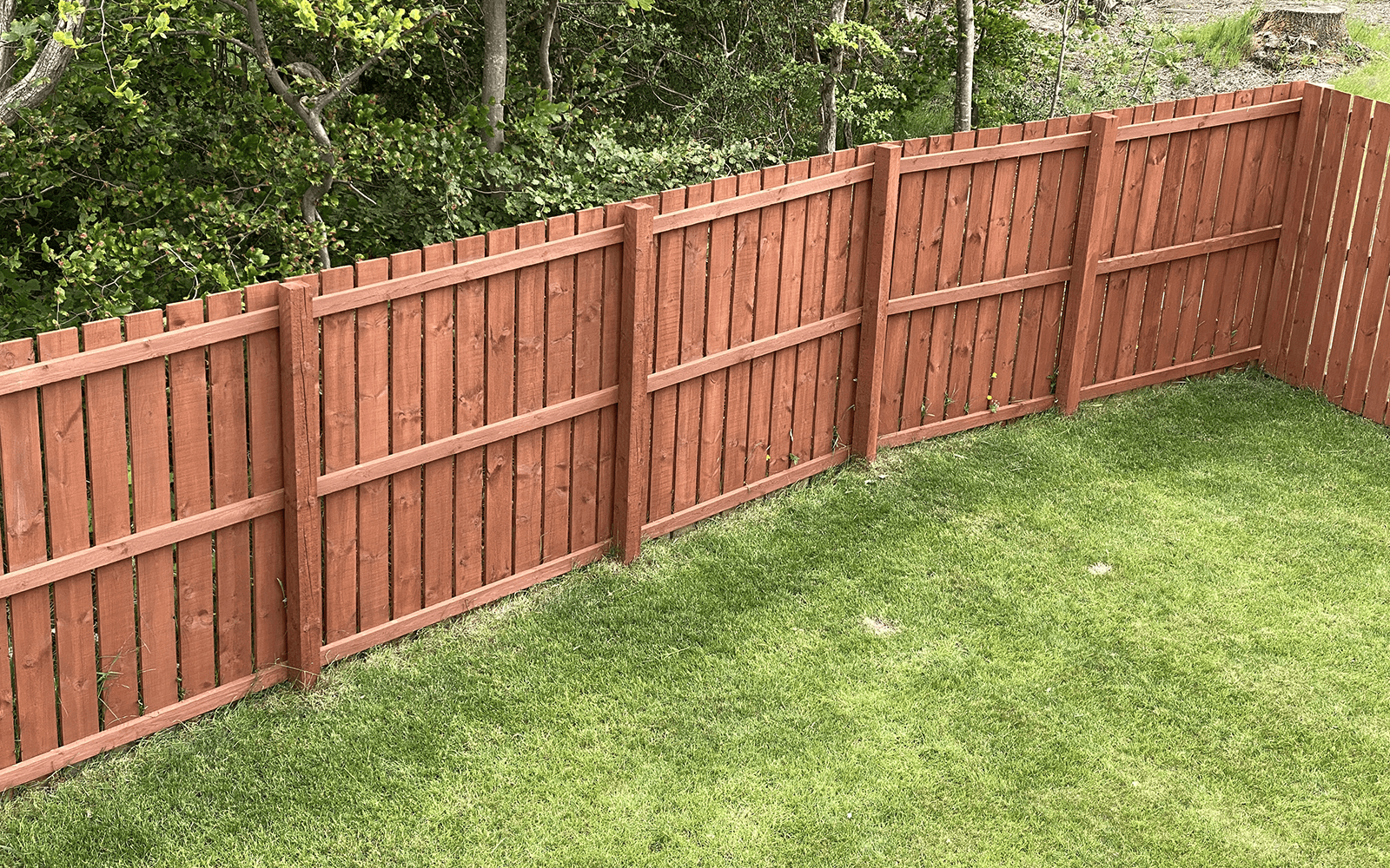 Orchard Fencing Work